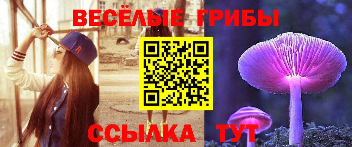 Крымск  Галлюциногенные грибы мицелий  Вход с VPN  Псилоцибиновые грибы прущие грибы 